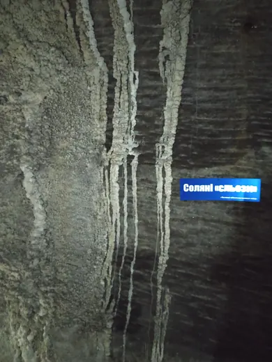Соледар, 2021